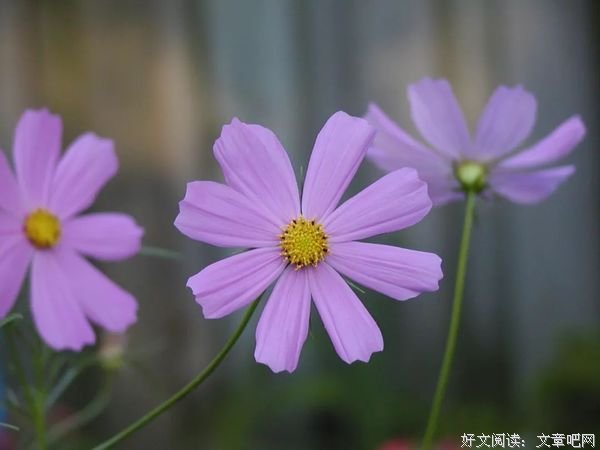 等（经典好文！）