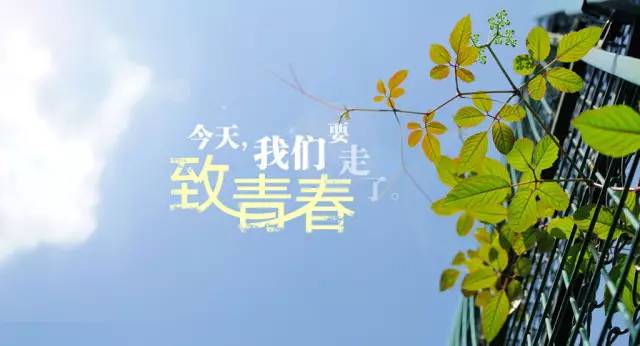 夏天温馨信息发给客户 天气热发给顾客暖心短信