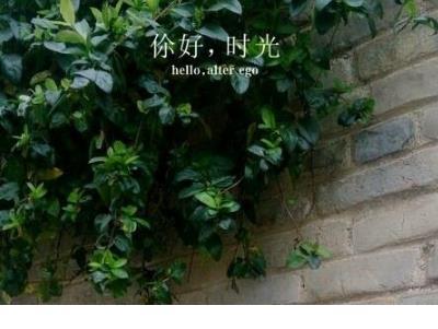 2022个性签名励志 正能量句子励志短句子