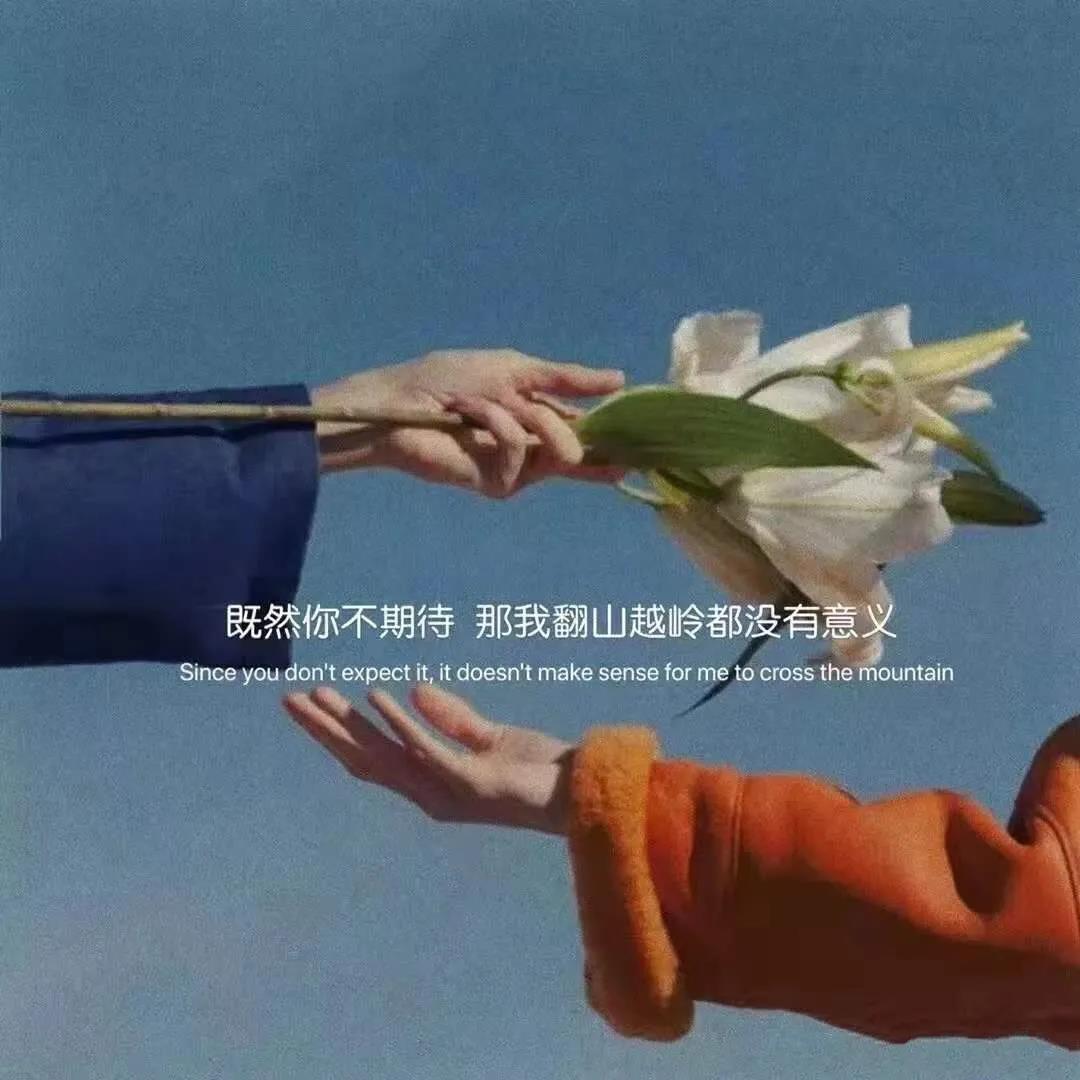 干净且清新脱俗的文案
