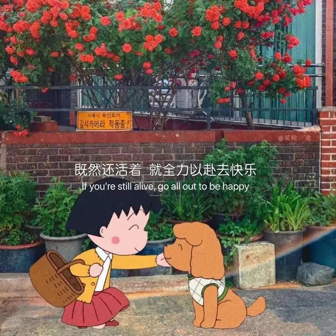 干净且清新脱俗的文案