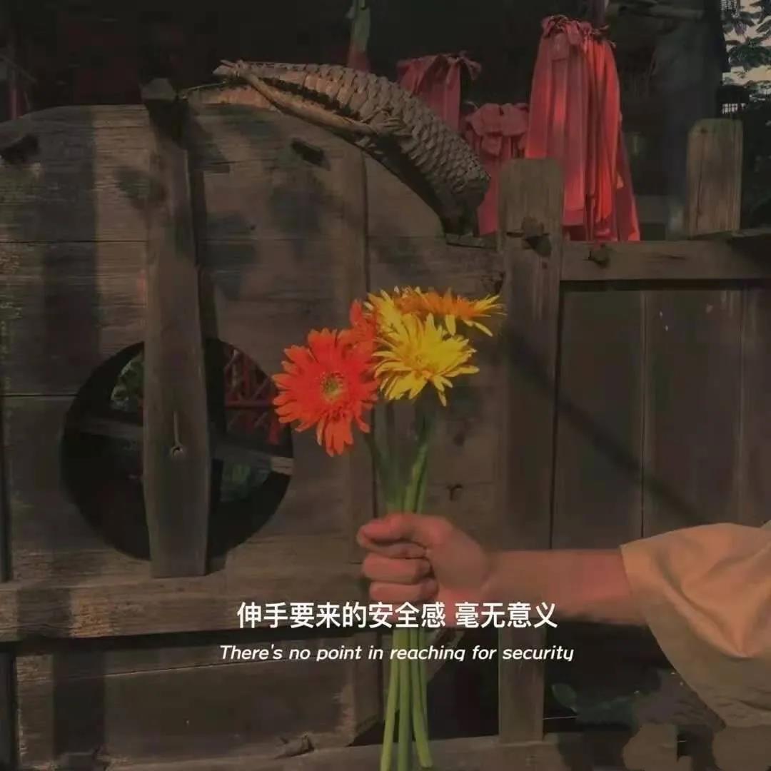 干净且清新脱俗的文案