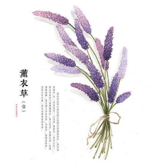 奋斗励志语录短句 好好奋斗的句子