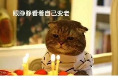 朋友圈励志正能量语录 晚安说说致自己一句话