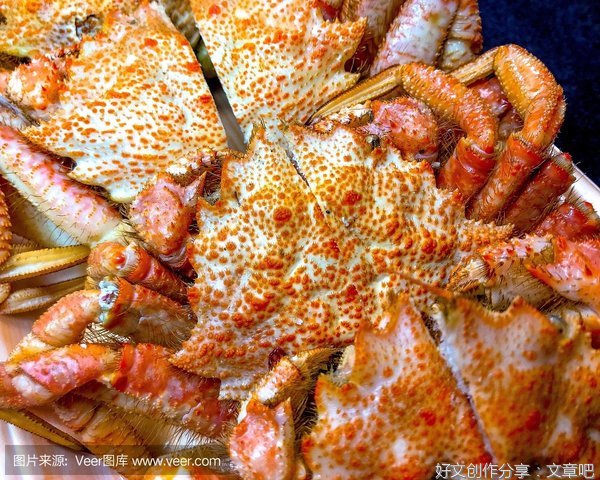 生命的方向