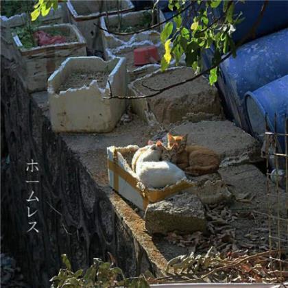 简单走心的说说 朋友圈走心的励志说说
