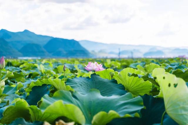 一句夏天美好的祝福语 适合夏天发祝福语信息