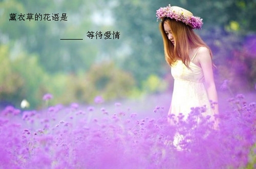 以后为自己而活的句子(精选42句)