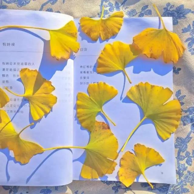 潮一点有个性的文案