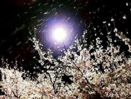 爱美励志女人短句霸气 霸气人生格言励志短句