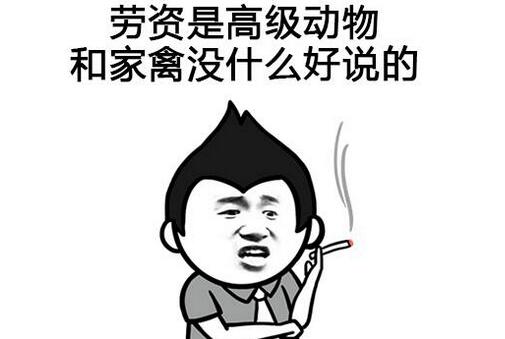 高素质Ma人语录