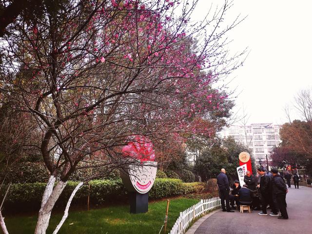 腊梅与情感文案(梅花网情感文案)
