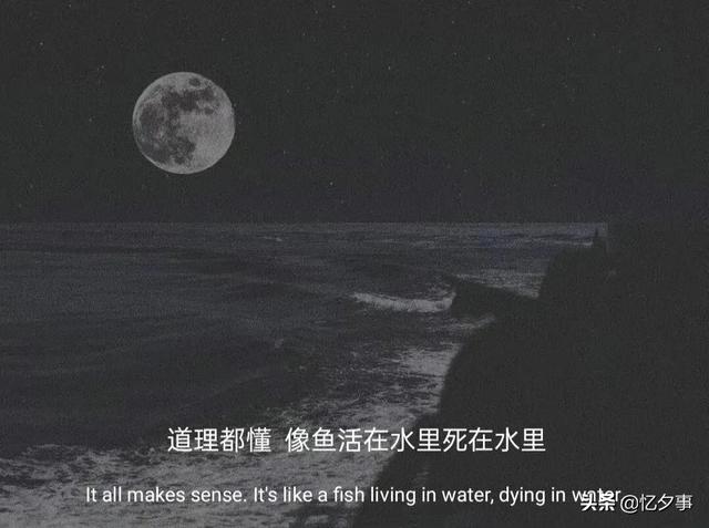 情感文案情感测试(情感文案句子)
