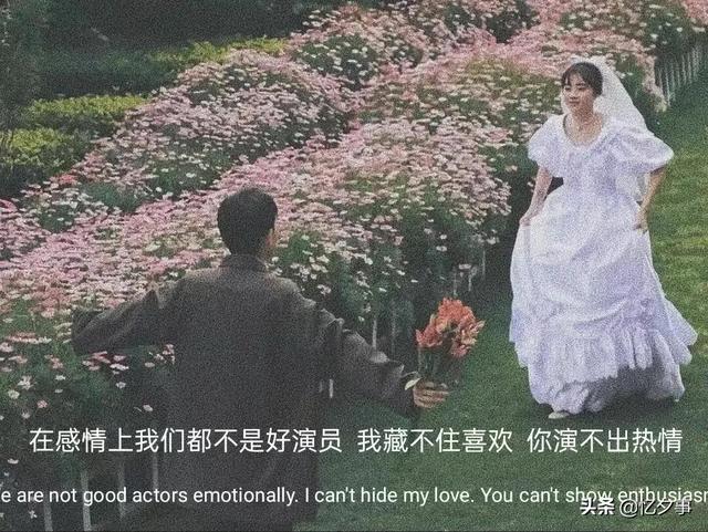 情感文案情感测试(情感文案句子)