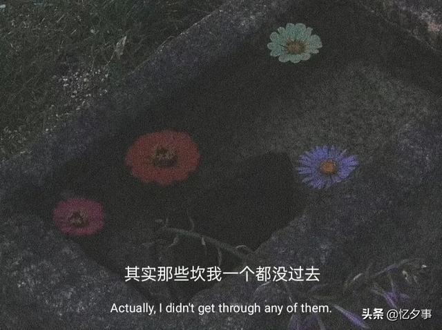 情感文案情感测试(情感文案句子)