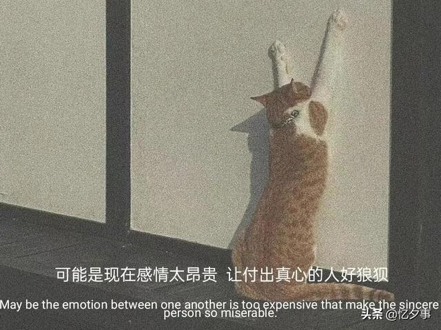 情感文案情感测试(情感文案句子)