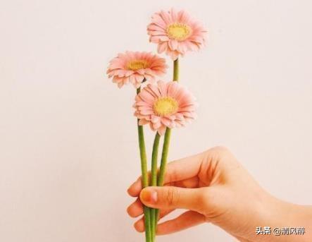 2022护士节512朋友圈说说_2022护士节快乐说说