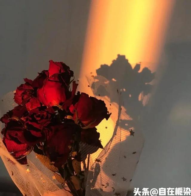 舒适的情感文案(治愈系文案情感语录)