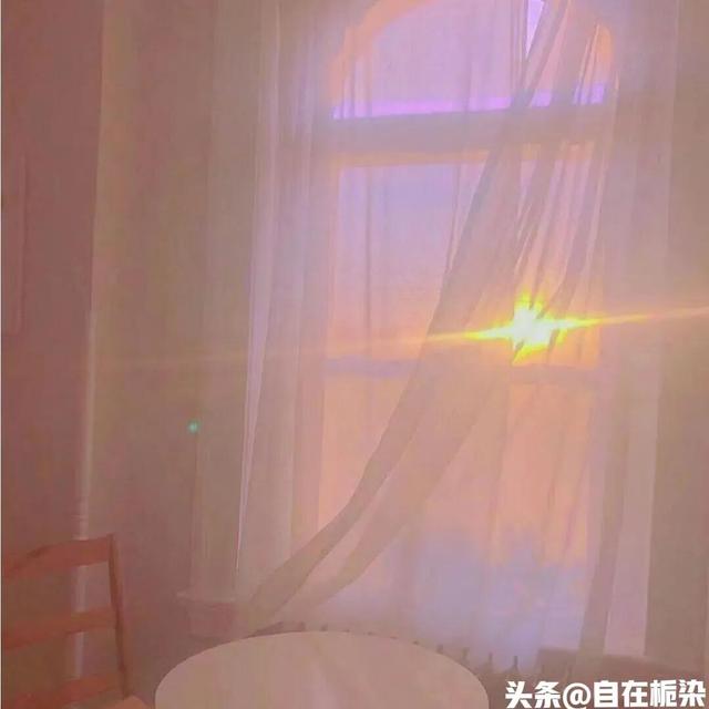 舒适的情感文案(治愈系文案情感语录)