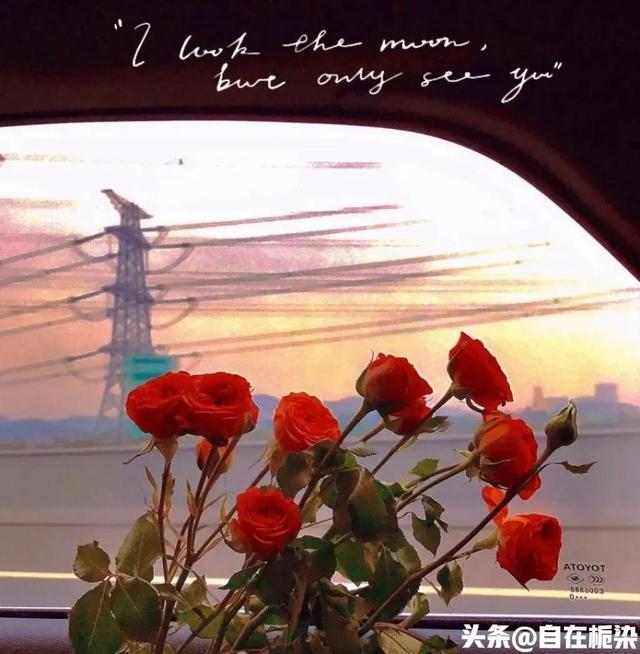 舒适的情感文案(治愈系文案情感语录)