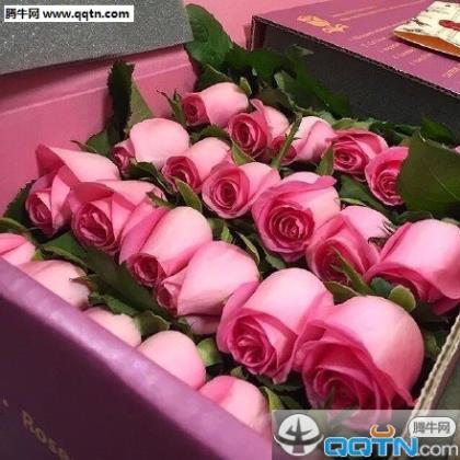 形容低调不张扬的句子 八个字霸气高冷的短句