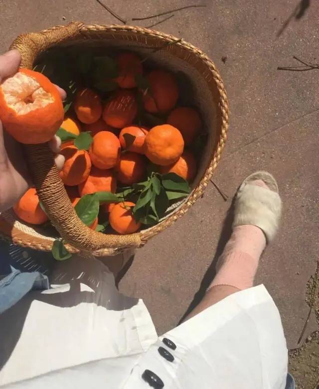 暗示自己不想谈恋爱的文案