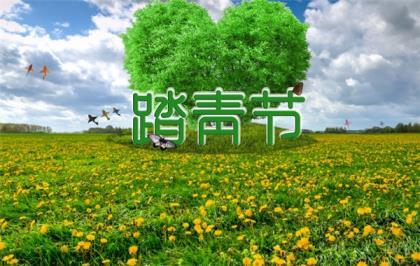 在下不才系列句子