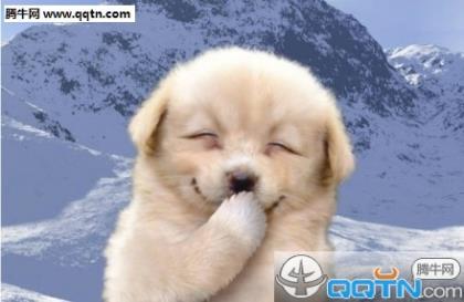 比赛结束后的励志心情说说 海边说说心情短语