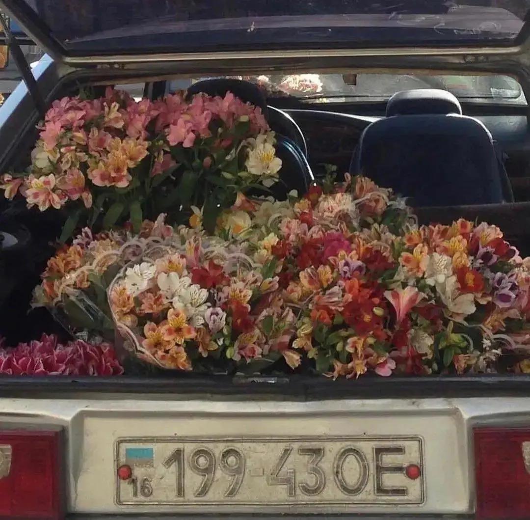 感悟人生的经典句子走心