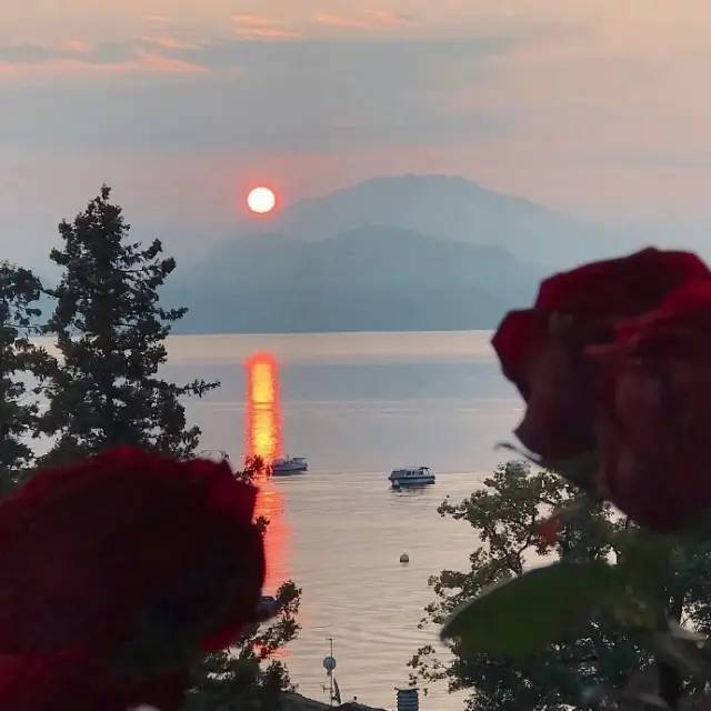 美到让你倒背如流的手账句子