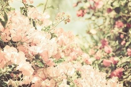 爱情伤感说说大全 伤感爱情说说心情短语