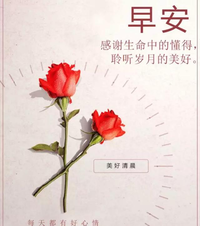 往前走文案配图励志_2020最火励志句