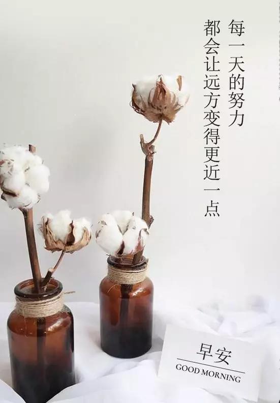 往前走文案配图励志_2020最火励志句