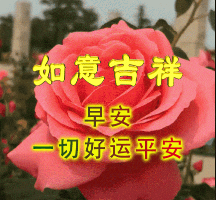 往前走文案配图励志_2020最火励志句