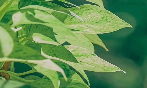 让对方看到忽然心疼的句子 一瞬间心痛无比！