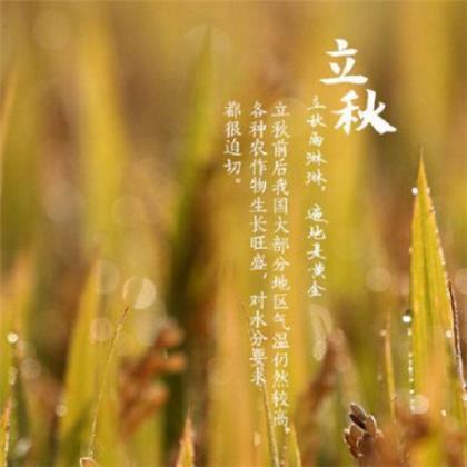 一周岁生日祝福语精选 微信群发的母亲节祝福语大全