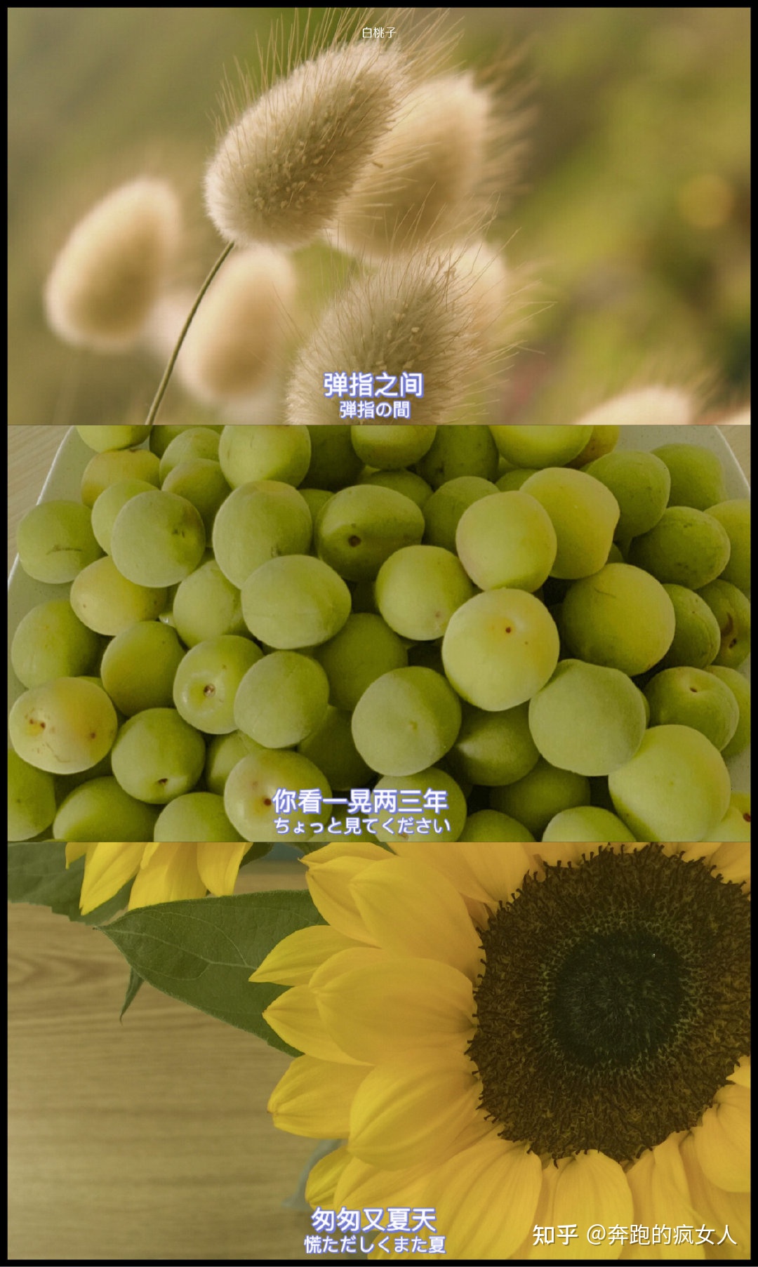 话多不代表你能说会道，学会用大脑思考来说话最靠谱