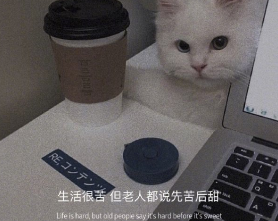 高情商又温柔的句子