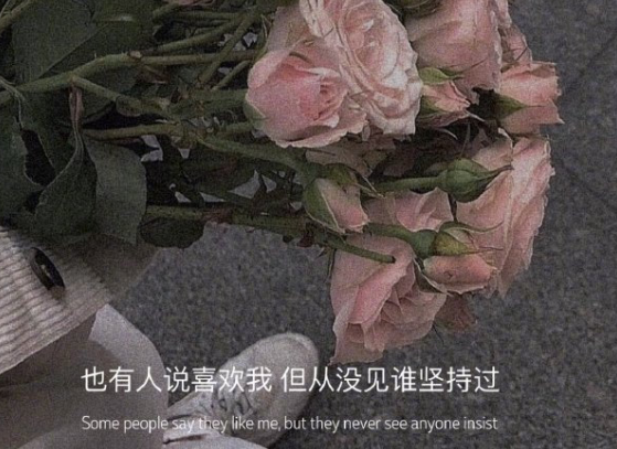 高情商又温柔的句子