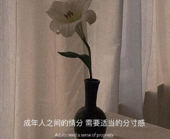 高情商又温柔的句子