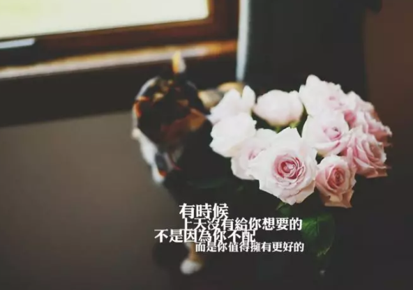 励志的句子致自己 简短霸气十足的说说语录