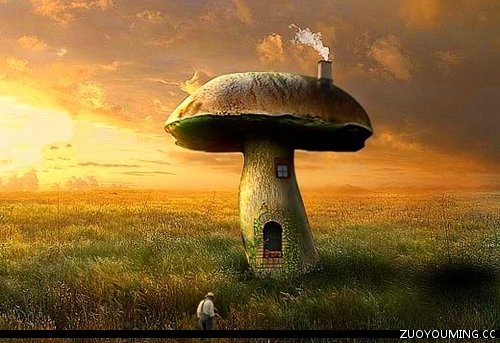 十一月祝福语致自己 十一月对自己说的话(精选39句)