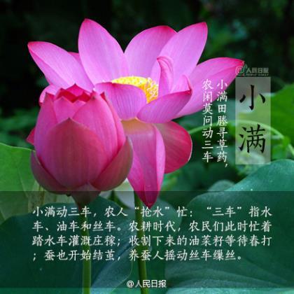 女人不依附任何人的句子
