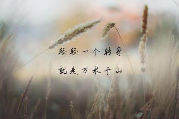 最能够体现出孤独的朋友圈文案 很深入人心的孤独泪崩的句子