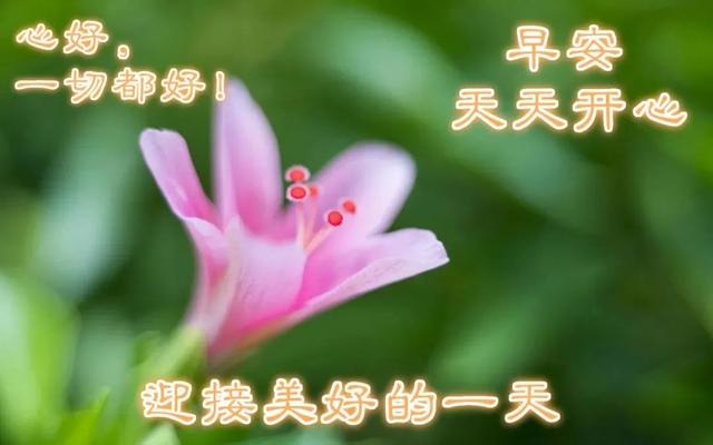 殷诗句文案励志配图(励志语录经典短句)