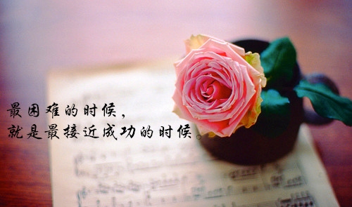 中秋节团圆的佳句(精选37句)