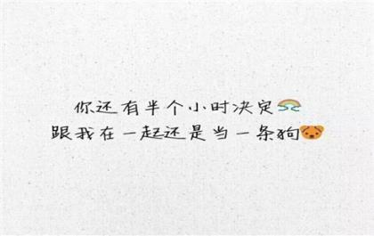 保护动物的公益广告语