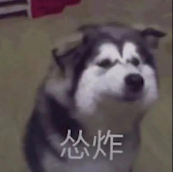 让身边的人都觉得你脑子有病的文案