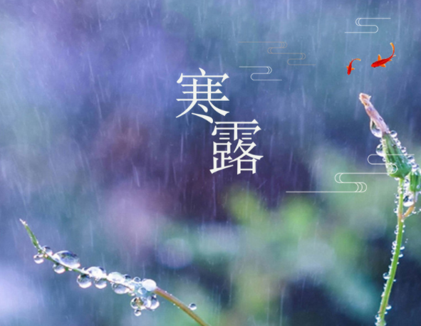 适合寒露发朋友圈的句子