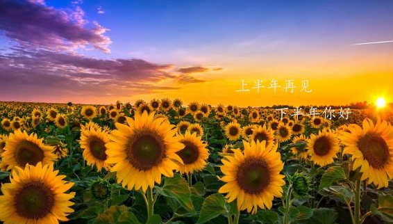 上半年结束 下半年开始说说